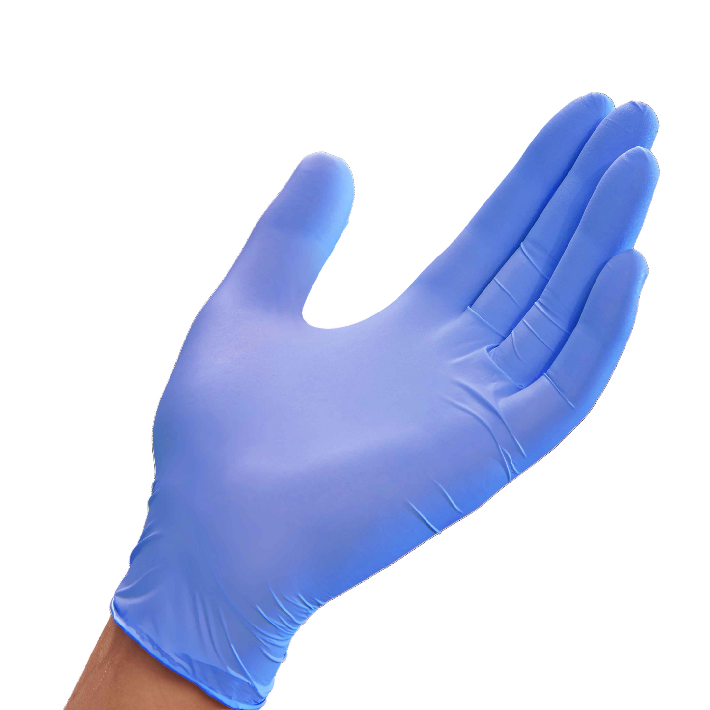 GloveOn Celeste Nitrile Examination Gloves