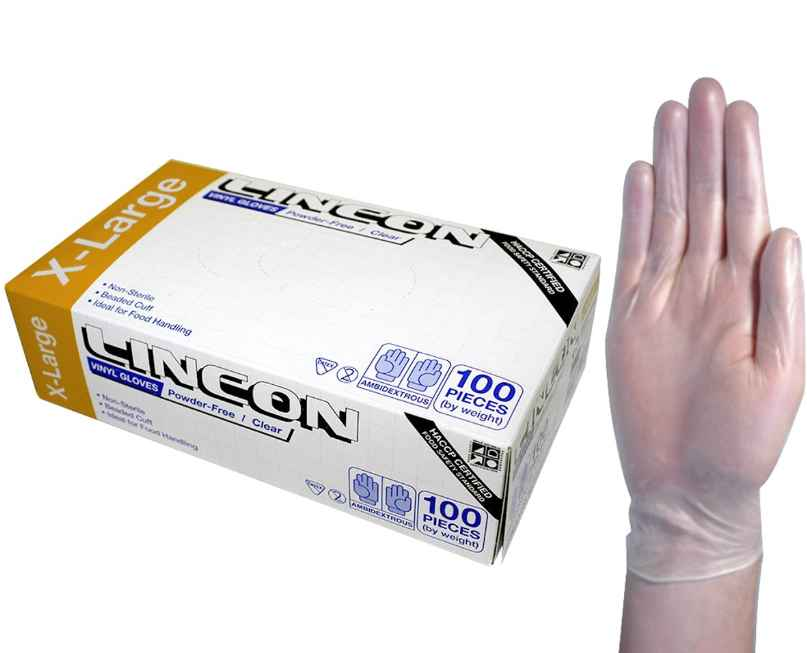 Lincon Vinyl Powder Free Gloves