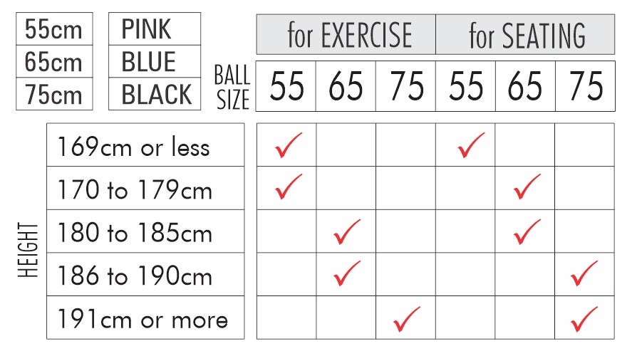 Bodyassist Fitness and Wellness Ball