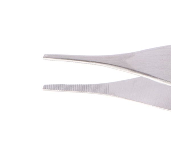 Multigate Adson Tissue Forcep Serrated 12cm Fine Each