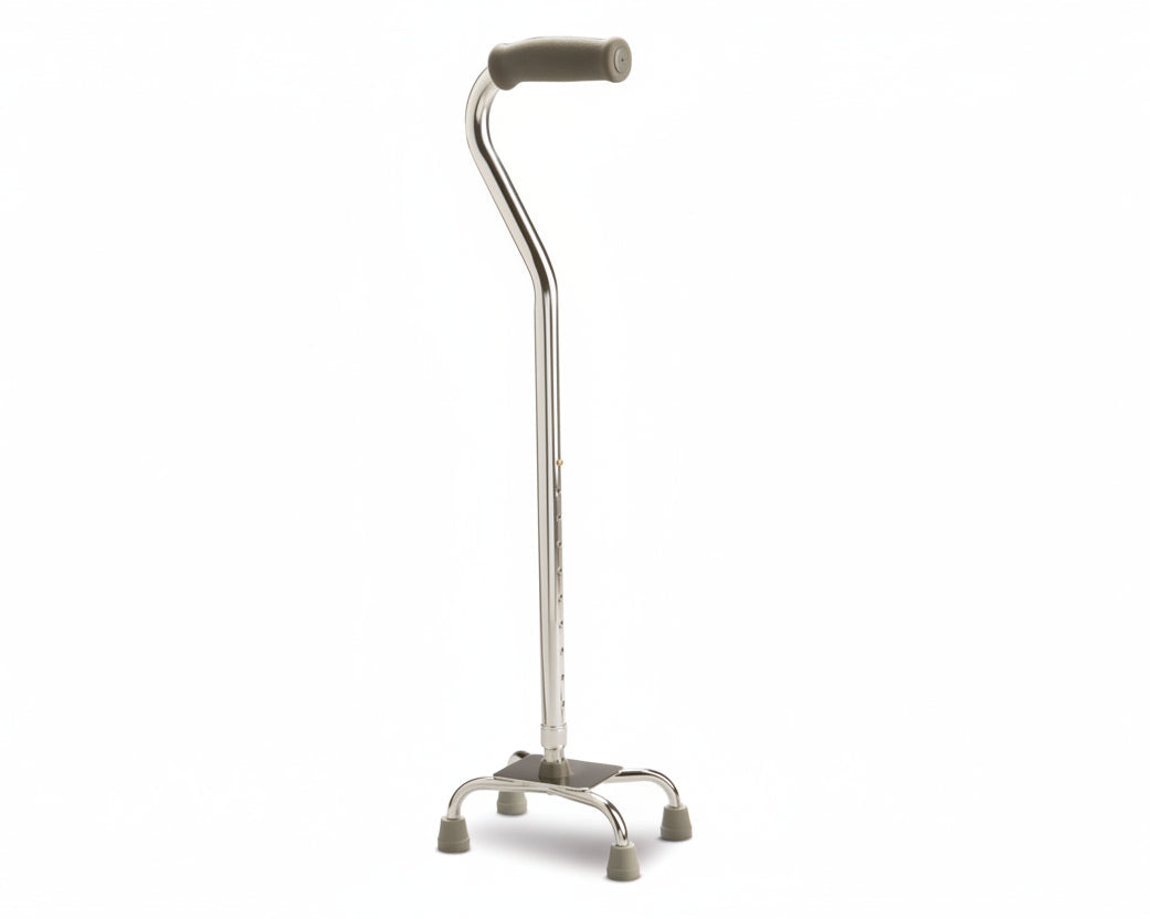 Quad Low Base Silver Cane