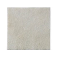 Biatain Alginate Ag Dressing