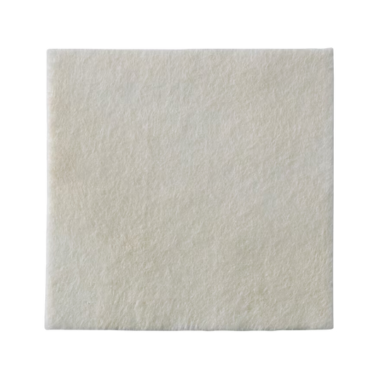Biatain Alginate Ag Dressing