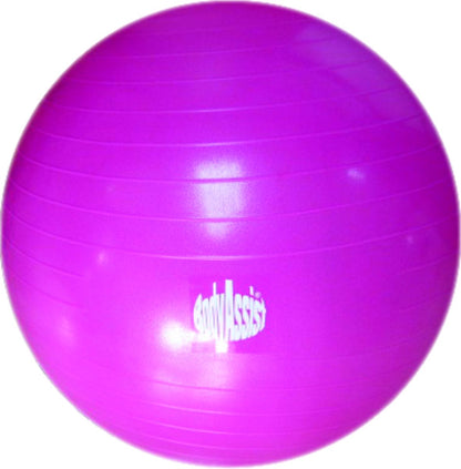 Bodyassist Fitness and Wellness Ball