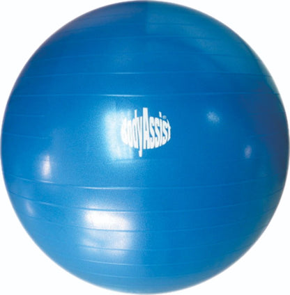 Bodyassist Fitness and Wellness Ball