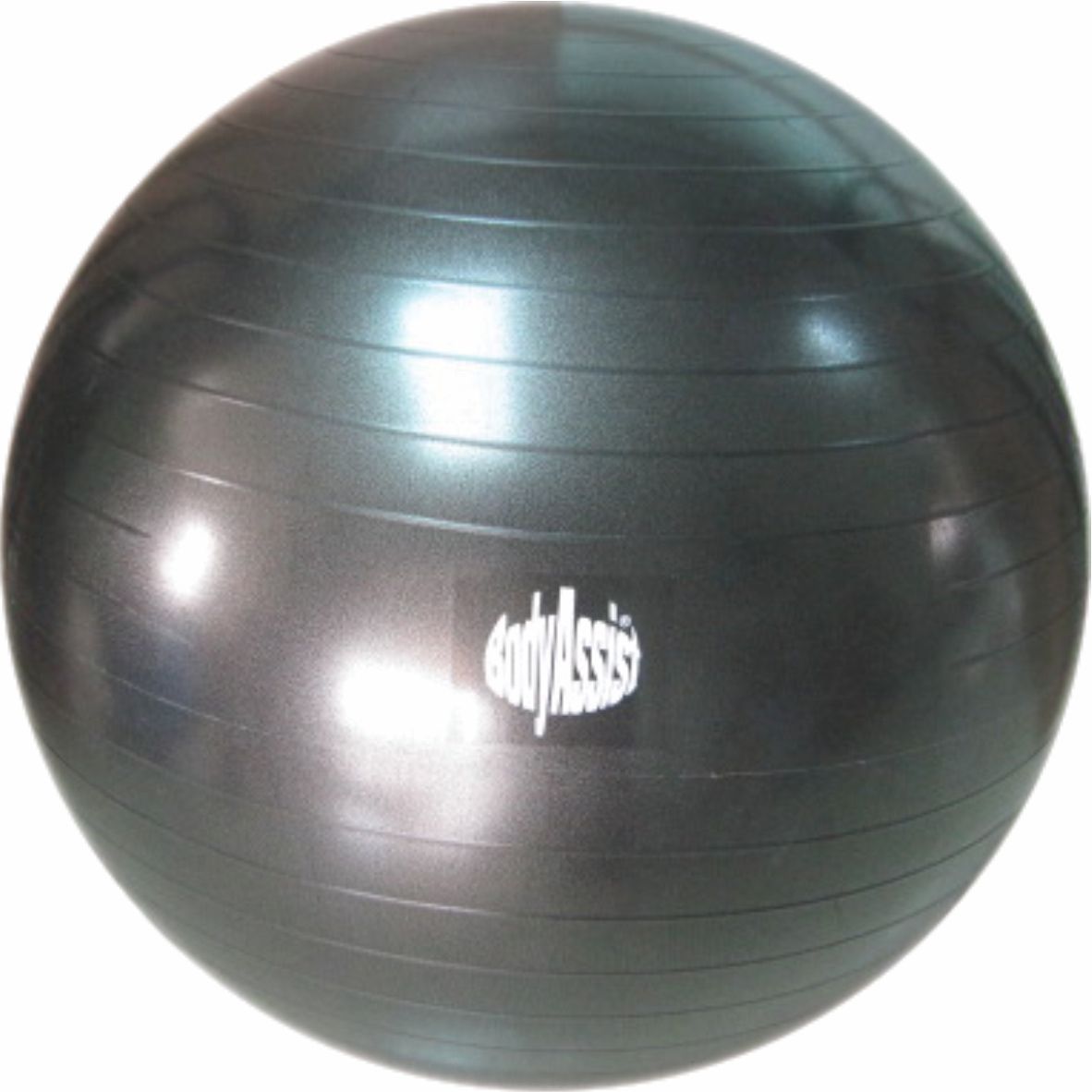 Bodyassist Fitness and Wellness Ball