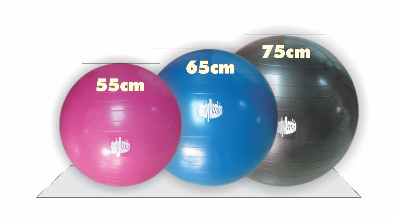 Bodyassist Fitness and Wellness Ball