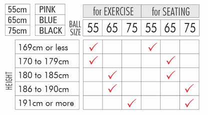 Bodyassist Fitness and Wellness Ball