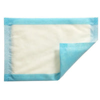Mesorb Absorbent Dressing