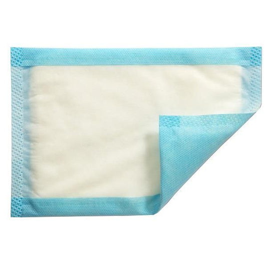 Mesorb Absorbent Dressing