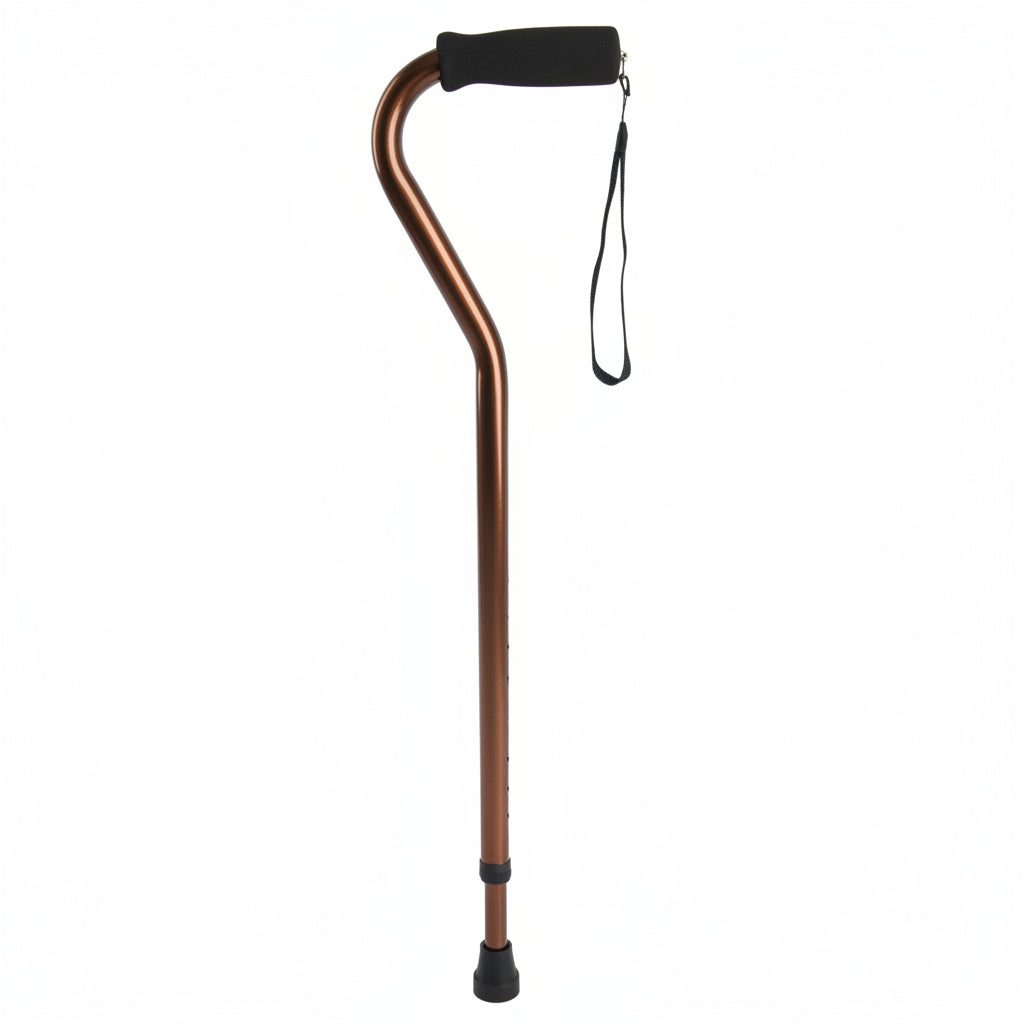 Swan neck walking stick bronze