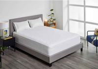 Protect-A-Bed Pillow Staywhite Waterproof (45x70cm)
