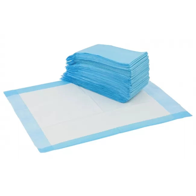 Bluey - Underpad